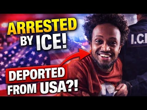 Arrested by ice: Deportation explained in the USA