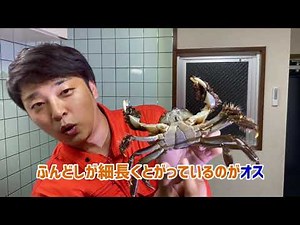 モクズガニ（ツガニ）の美味しい茹で方
