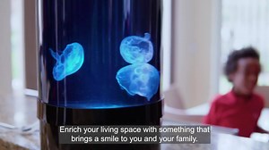 3.9K views · 1.1K reactions | Enrich your living space with pet jellyfish! A new hobby that is fun and educational for the whole family. With the holidays around the corner, now is the perfect time to take advantage of our HOLIDAY DISCOUNTS with 10% OFF select jellyfish aquarium kits and supplies. | Jellyfish Art | Facebook