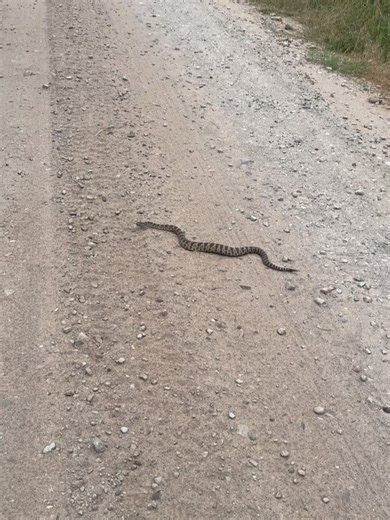Teton Valley Lodge on Reels