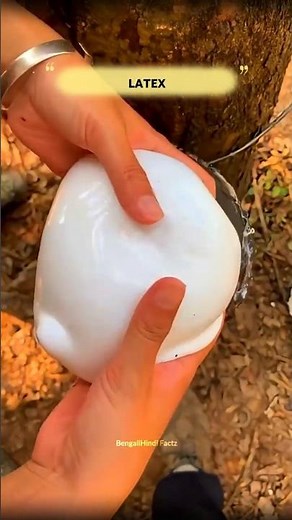 Why LATEX is Collected at Dawn ⁉️