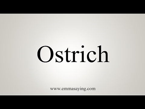 How To Say Ostrich