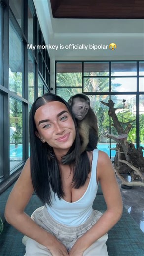 Mel on Instagram: "bipolaire ou amoureux 🤣 #viral #monkey #singes #capucino"