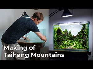 My Inspiring Hardscape Aquarium Design Indonesia - Aquascape Timelapse