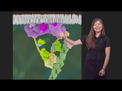 Visual Communication in Biology 3: Animating Molecular Biology, Part II - Janet Iwasa (U. Utah)