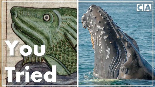 Medieval artists had no idea what these animals looked like