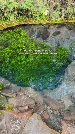Oike Springs is a stunning natural spot with crystal-clear, blue-green water that’s safe to drink and tastes amazing 🌿 The spring flows about 20,000 tons of water per day, naturally filtered through Mt. Kurodake. It’s been recognized as one of Japan’s Top 100 Famous Springs! Take a 1.4 km walk along trails through lush forest, mossy rocks, and streams. The scenery will surely remind you of your favorite anime series 🌱 ➡️ For more information: https://oita-tourism.com/en/attractions/detail_1068