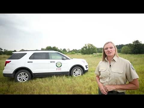 Parking in Tall, Dry Grass