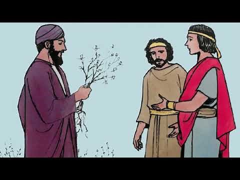 Animated Bible Stories: Weeds, Mustard Seed, and Leaven Parables-New Testament