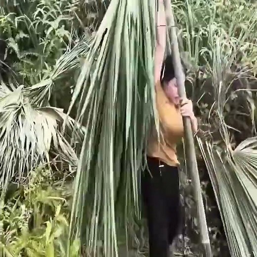 Single Mom's Incredible Bamboo House Build Jungle Survival