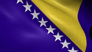Bosnia Flag