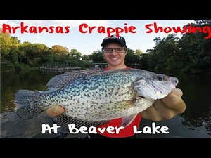 Crappie Fishing Arkansas Beaver Lake