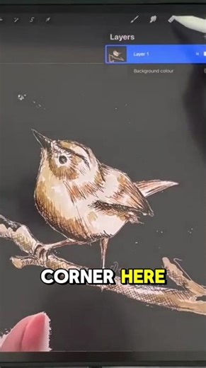 Perfect Your Artwork | How to Erase Leftover White Edges in Procreate