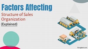 13 Factors Affecting Structure of Sales Organization (Explain) -