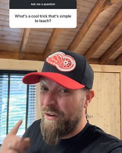 A really cool trick to teach your dog | Southend Dog Training