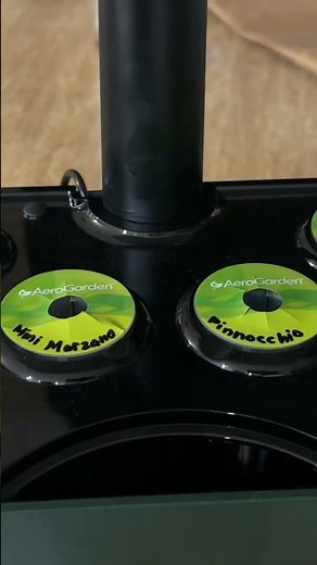 Starting Seeds Hydroponically Has Never Been Easier #hydroponic #tutorial