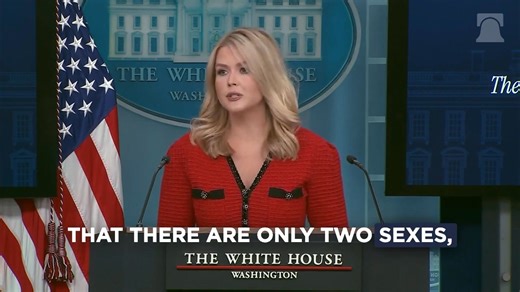 19K views · 994 reactions | BACK TO REALITY: ✅ There are only two sexes. ✅ Transgender surgeries are mutilation. ✅ Congress should codify President Trump’s executive orders into law. | The Heritage Foundation | Facebook