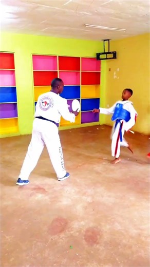 Roundhouse Kick → 360° Spin Kick → Back Kick Combo | Explosive Taekwondo Drill 💥🥋
