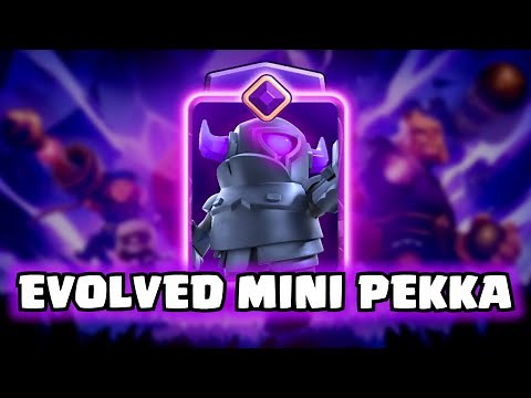 EVOLVED MINI PEKKA | Clash Royale