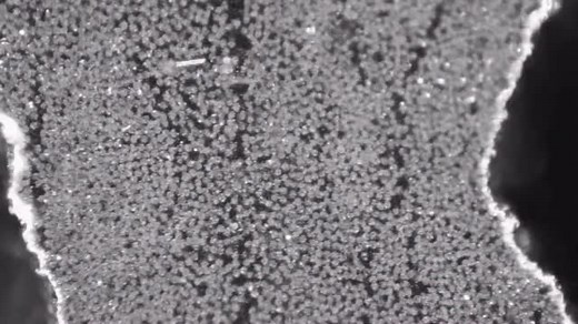 The Native Lab on Instagram: "🔬 Have you ever wondered what a carbon fiber composite with epoxy resin looks like when it breaks? In this video, captured at 200x optical magnification, you can see how the fibers separate when the material fails. Each fracture surface reveals valuable information about the composite’s mechanical behavior. ✨"