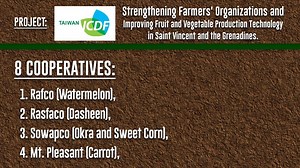 5.5K views · 39 reactions | Name: Guan-Yu Pan (Kevin) Project: Strengthening Farmers' Organizations and Improving Fruit and Vegetable Production Technology | St Vincent Times | Facebook