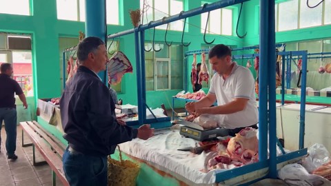 Traditional Cabbage Rolls Recipe