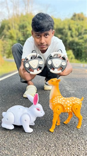 Remote Control 2Ta Khargosh And Deer Ki Unboxing Desi Deko 😍