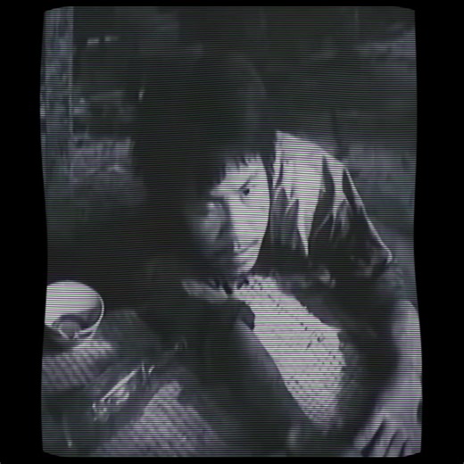 Chí Phèo và Những Hình Ảnh Đáng Yêu của Mèo