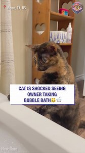 3.5M views · 106K reactions | Why are you doing this to yourself, human?! 藍 | Now I've Seen Everything | Facebook