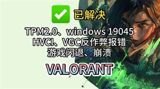 【瓦洛兰特】tmp、hvci、vgc等常见报错解决方法！