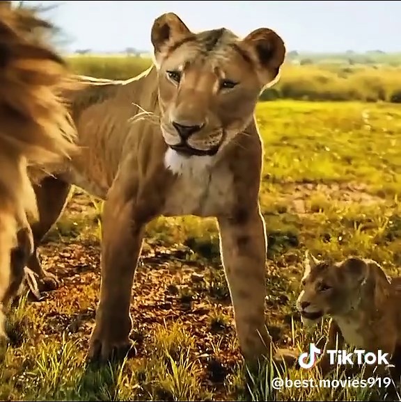 Intense Movie Moments That Will Leave You Speechless