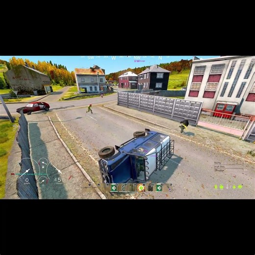 Peak Driving Skills in DayZ