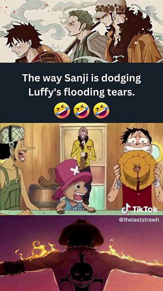 Emotional Encounter: Luffy Meets Sanji's Siblings | One Piece