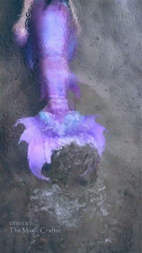 A purple mermaid swims away with a dragon egg