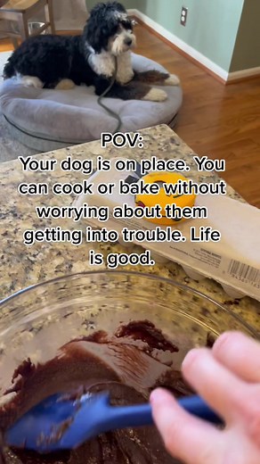 Morgan Balanced Trainer on TikTok