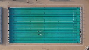 Olympic Pool Swimmers Training Competing Salvador Stock Footage Video (100% Royalty-free) 3605151257 | Shutterstock