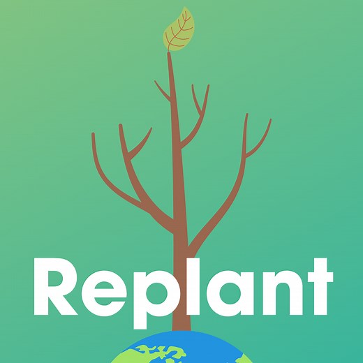 Yixin Chen – Illinois BFA 2023 Exhibition