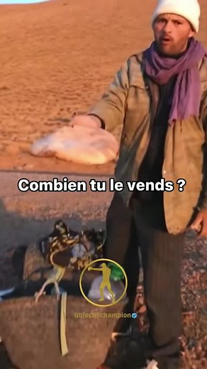 Bâta bâta woipélé sur TikTok