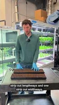 How to Plant in Your STEM Garden Micro-Farm
