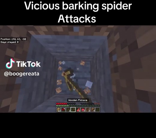 Barking Spider Attack in Minecraft
