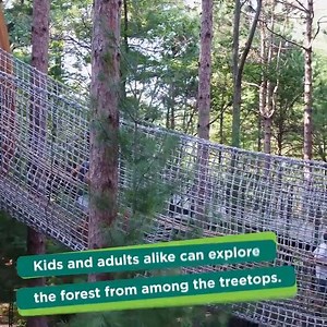 1.6M views · 5.2K reactions | Take a look at the nations longest canopy walk in Midland. WIll you be going to this? Video courtesy of the Whiting Forest of Dow Gardens | Mid-Michigan NOW | Facebook