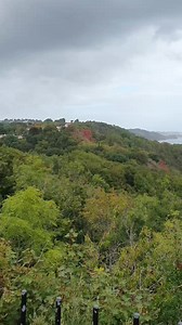 7.3K views · 43 reactions | Babbacombe, Torquay. | Spotted Torquay | Facebook