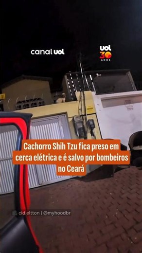 Shih Tzu dog gets stuck in electric fence and is rescued by firefighters in Ceará