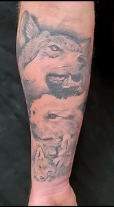 Wolves tattoo, done by Silviu Already healed #SilviuMateTattooartist #bizzzarttattoocluj | Bizzzart Tattoo