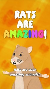 27 reactions · 9 comments | Did you know that rats can giggle when they're tickled? 來 Or that they have many skills—like being able to run, jump, AND swim? They also love their friends and family and feel pain, love, and joy—just like we do. Hurting them in cruel experiments is WRONG—be a friend to rats by always shopping cruelty-free for your family's personal items like shampoo, toothpaste, and lotion! | PETA Kids | Facebook