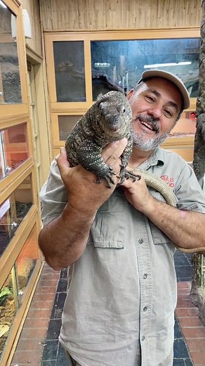 Not a lizard you see everyday! #learnontiktok #tiktokpartner #animalsoftiktok