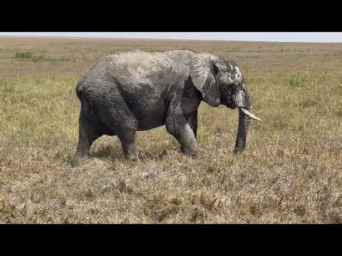 Becoming A World Traveler