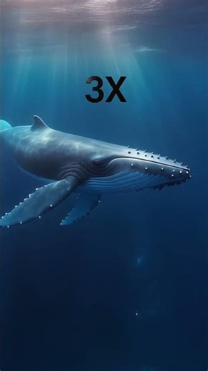 The Bloop sound mystery 😱😱😱😱 #bharat #facts #lifeisbutadream #whowillbemylifepartnerta #isro