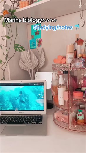 #marinebiology #marine #marinelife #dolphins #notes #dreamjob #preppy #coconutgirl #studying #dreamlife #ocean #oceanlife