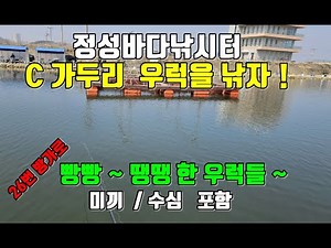 정성바다낚시터 c가두리 공략기 당일 미끼 수심 포함